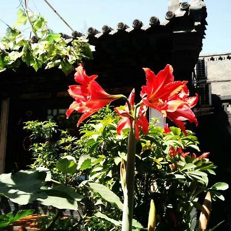 Pingyao Tian Yi Hostel Exterior photo